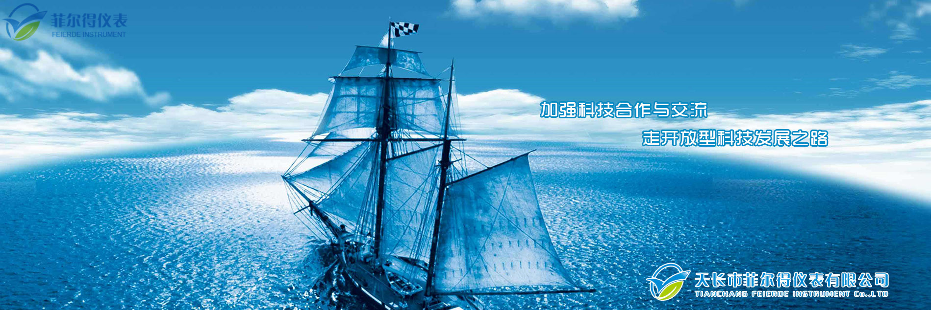 天長市菲爾得儀表